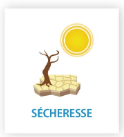 sechersse